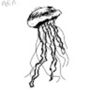 Meet your Posher, Bailey